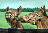 Mares and Foals, Equine Art - Don't Bug Me